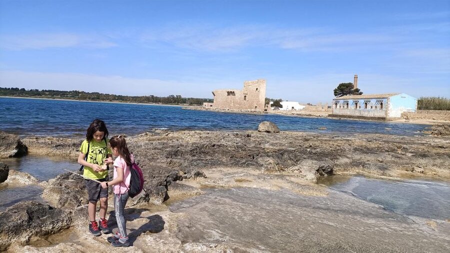 From Siracusa: Vendicari Nature Reserve Guided Tour - The seashore walk: dunes, plants, and an easy pace