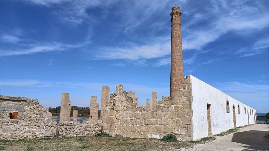 From Siracusa: Vendicari Nature Reserve Guided Tour - What you get for about $105, and whether it feels worth it