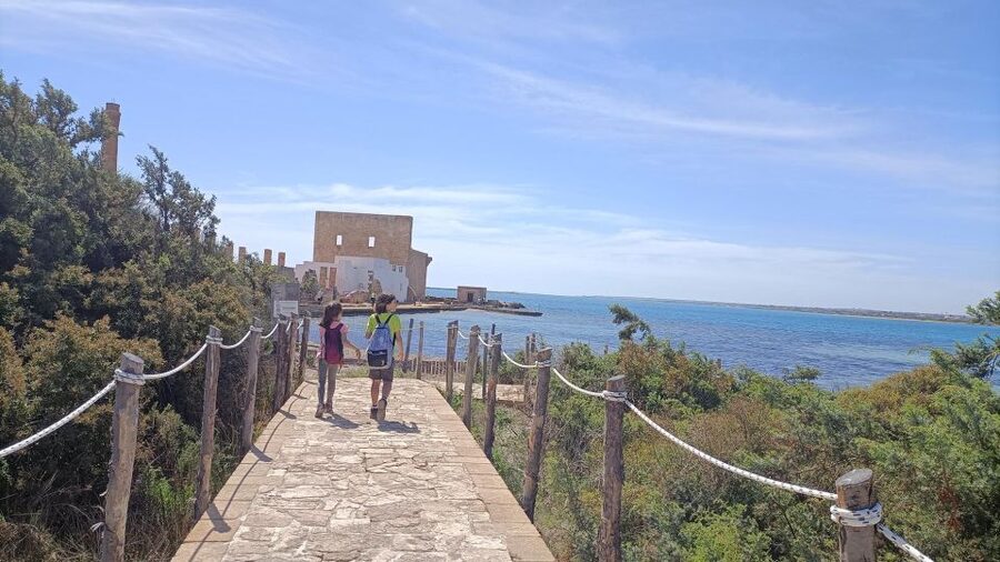 From Siracusa: Vendicari Nature Reserve Guided Tour - Birdwatching with a spotting scope, not guesswork