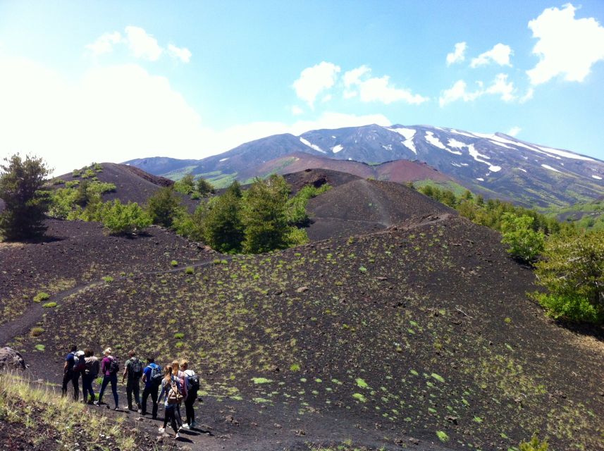 From Syracuse: Etna Tour with Light Lunch and Wine Tasting - Key highlights worth planning around