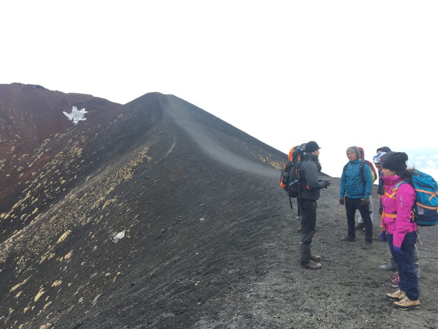 From Syracuse: Etna Tour with Light Lunch and Wine Tasting - The Etna hike near 1,900 to 2,000 meters: craters, lava flows, and pacing
