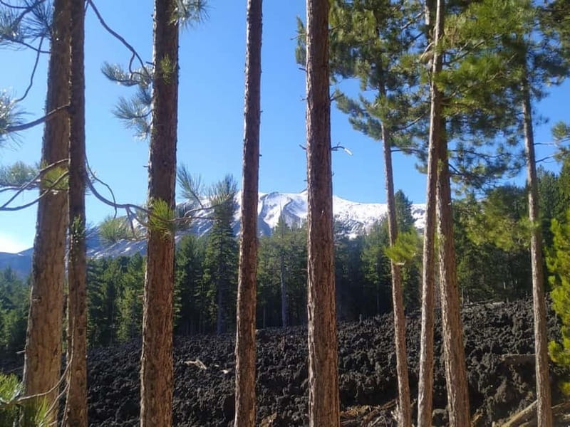 From Taormina: Etna Walking Tour and Wine Tasting in Winery - The resort stop at 1800 to 2000 meters: use it well