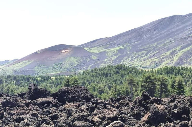 From Taormina: Etna Walking Tour and Wine Tasting in Winery - Pickup in Taormina, then up to altitude in comfort