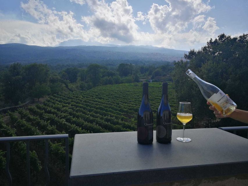 From Taormina: Etna Wineries Small Group Tour - Key highlights at a glance