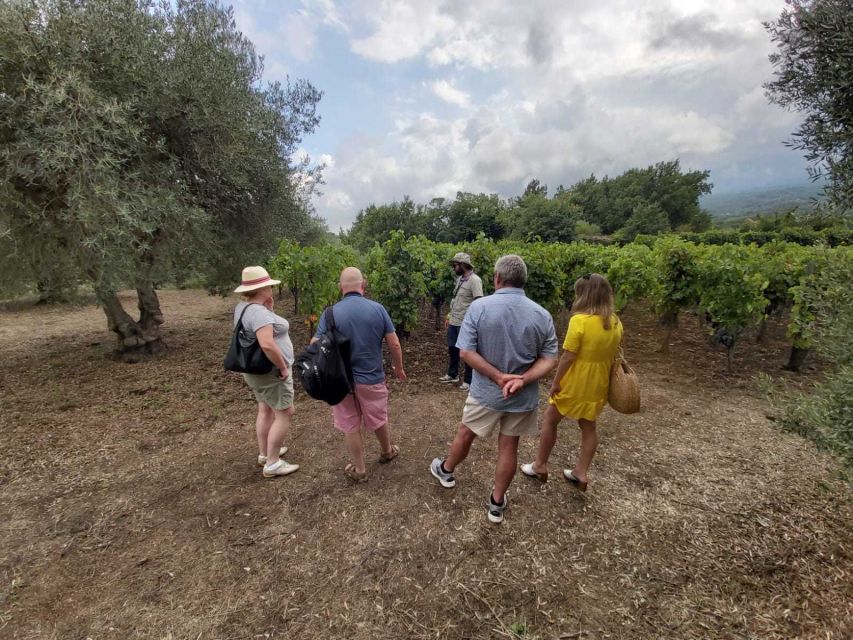 From Taormina: Etna Wineries Small Group Tour - How the pacing works when you have two tastings and a village hour