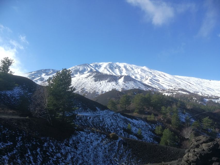 From Taormina: Half-Day Mount Etna Morning Trek - Why the Volcanology Guide Changes the Whole Experience