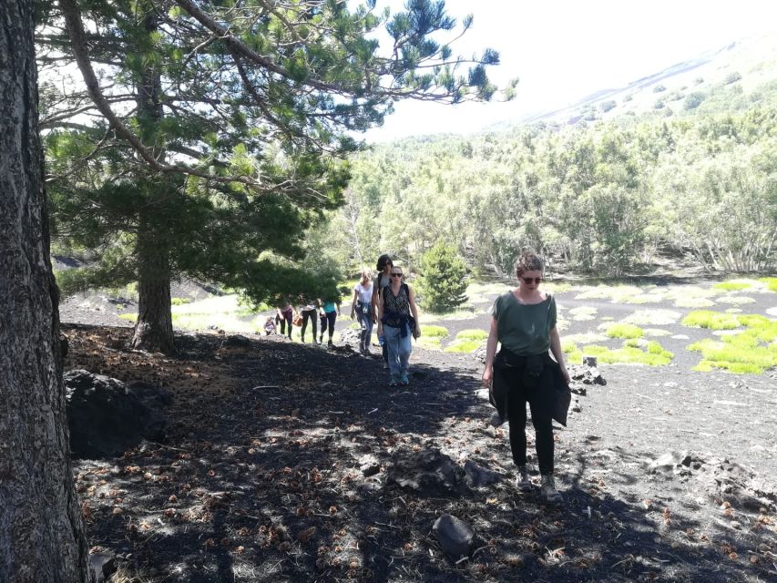 From Taormina: Half-Day Mount Etna Morning Trek - The Winery Lunch and Almond Wine Tasting, How the Day Ends