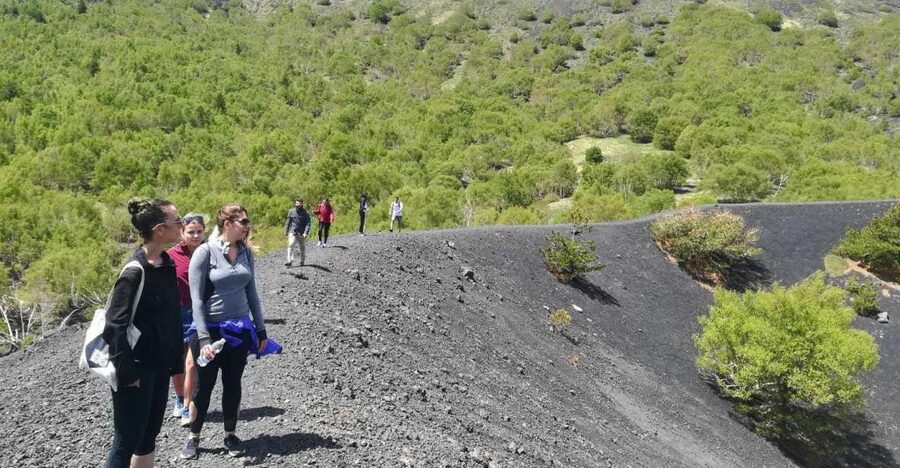 From Taormina: Half-Day Mount Etna Morning Trek - The Morning Drive From Taormina, Then the First Trail Steps