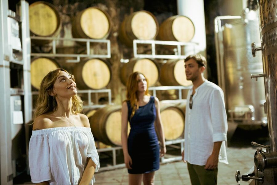 From Taormina: Mount Etna Food and Wine Tasting Tour - Wine Tasting Done the Right Way: 5 Glasses and Real Pairing