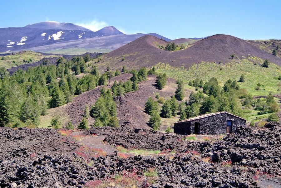 From Taormina: Mount Etna Guided Bus Tour - Why this Mount Etna bus tour feels easier than DIY