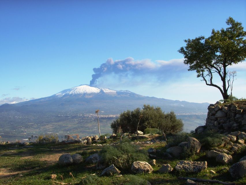 From Taormina: Mount Etna Guided Bus Tour - Who this Etna day trip suits, and who should skip it
