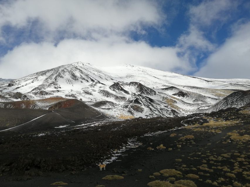 From Taormina or Catania: Private Full-Day Mount Etna Hike - A Mount Etna day built for hikers, not spectators