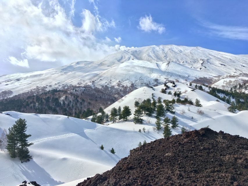 From Taormina or Catania: Private Full-Day Mount Etna Hike - Valle del Bove caldera and summit views, plus the coast panorama
