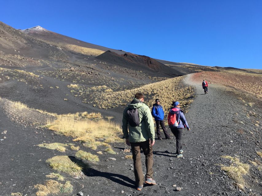 From Taormina or Catania: Private Full-Day Mount Etna Hike - Lunch and food reality: bring a plan for dietary needs