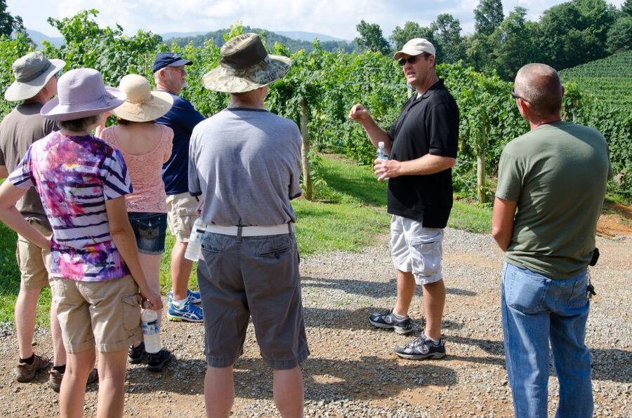 From Taormina: Private 3 Etna Wineries with Food & Wine - Stop 1: the small-producer tasting with bruschetta and DOC wines