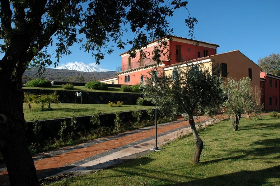 From Taormina: Private 3 Etna Wineries with Food & Wine - How long is a half-day, really, when wine is involved