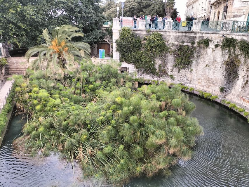From Taormina: Siracusa & Noto Small-Group Tour - How the day trip runs from Taormina (and why timing matters)