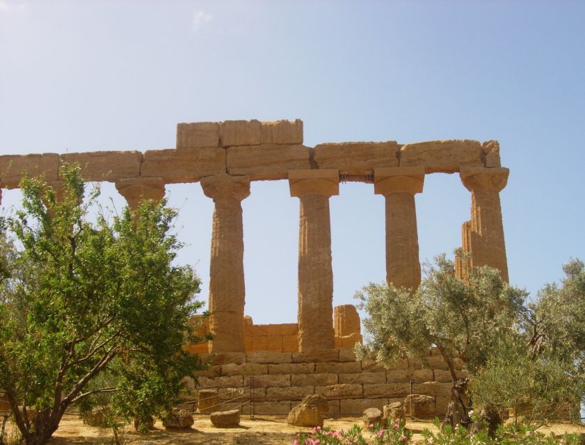 From Taormina: Valley of The Temples & Piazza Armerina Tour - Entrance fees and meals: where the real cost can change