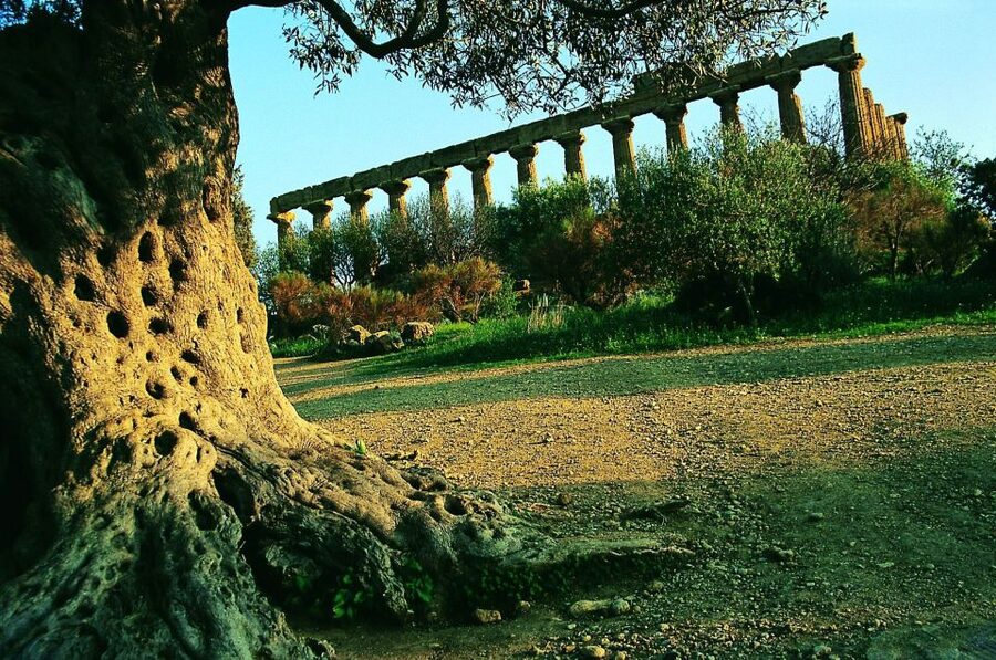 From Taormina: Valley of The Temples & Piazza Armerina Tour - What to pack for a hot, long, walking day
