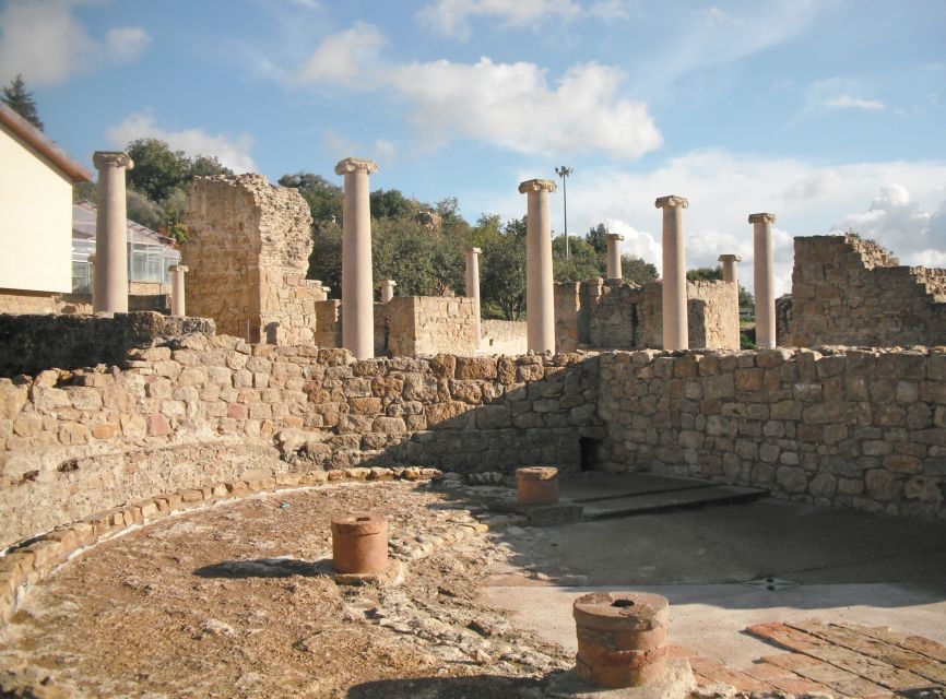 From Taormina: Valley of The Temples & Piazza Armerina Tour - Who this tour fits, and who should choose another plan