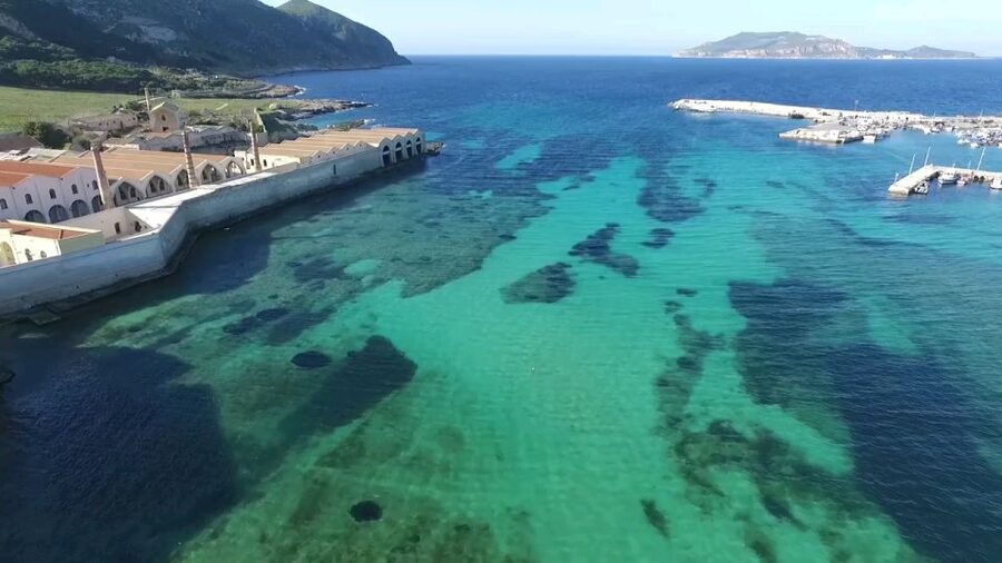 From Trapani: Day Cruise to Favignana & Levanzo with Lunch - Key things you will notice