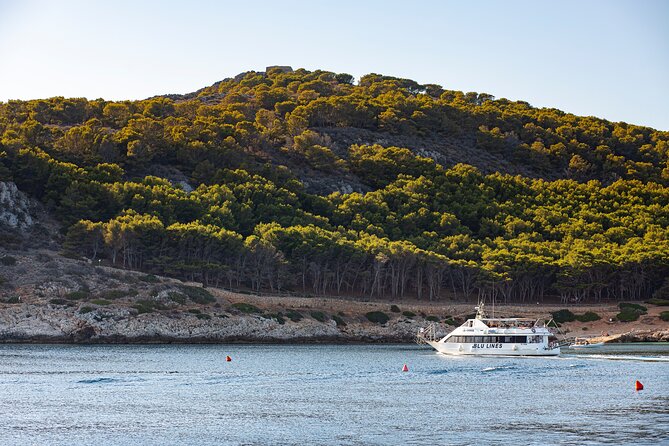 From Trapani: Egadi Islands tour with lunch on board - Who This Egadi Islands Tour Suits Best