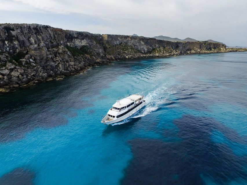 From Trapani: Favignana and Levanzo Motorboat Cruise - Key highlights you should care about