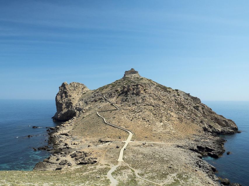 From Trapani: Marettimo Grottos Cruise & Local Food Tastings - Levanzo Viewpoints and Another Water Break
