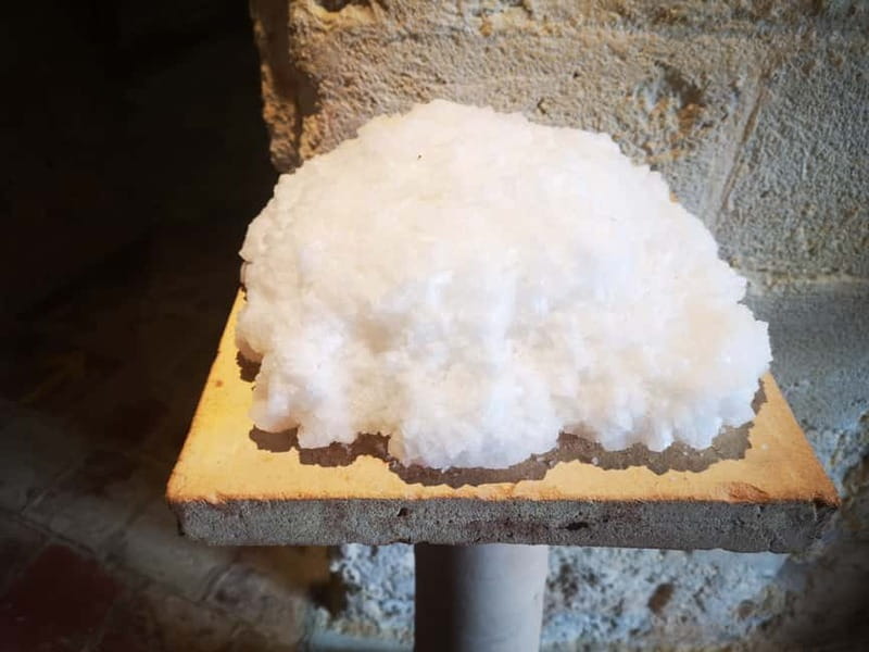 From Trapani: Salt Road Tour With Winery Visit and Boat Trip - Booking advice: how to get the best day from it