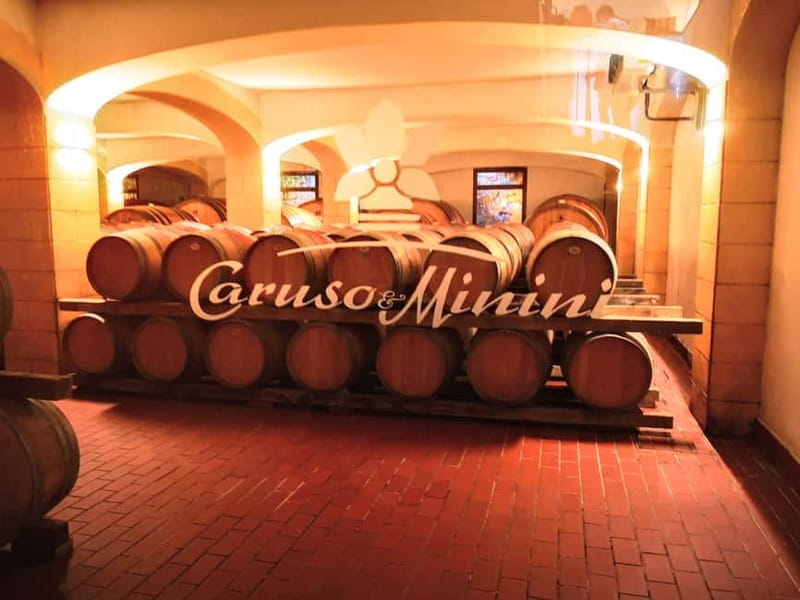 From Trapani: Salt Road Tour With Winery Visit and Boat Trip - Isole dello Stagnone by boat: marine viewing, scenic stops, and Motya