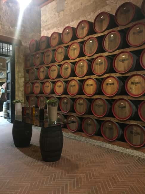 From Trapani: Salt Road Tour With Winery Visit and Boat Trip - Province of Trapani Stop: photo time, wildlife moments, and salt-country context