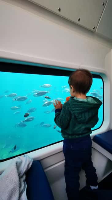 Giardini Naxos: Semi-Submarine Tour to Isola Bella - Bay of Sirens: scenic cruising with an underwater payoff