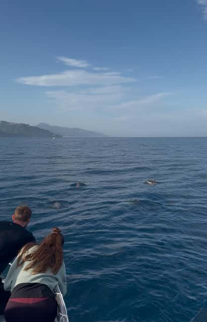 Giardini Naxos: Sunset Dolphin Watching Cruise with Aperitif - Snorkeling in crystal-clear water: when you should say yes