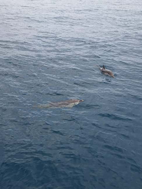 Giardini Naxos Taormina: Dolphin Watching Sunset Tour - Getting started at Giardini Naxos, and finding Kristal