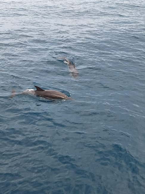 Giardini Naxos Taormina: Dolphin Watching Sunset Tour - Love Cave and the Blue cave: what those stops mean in real life