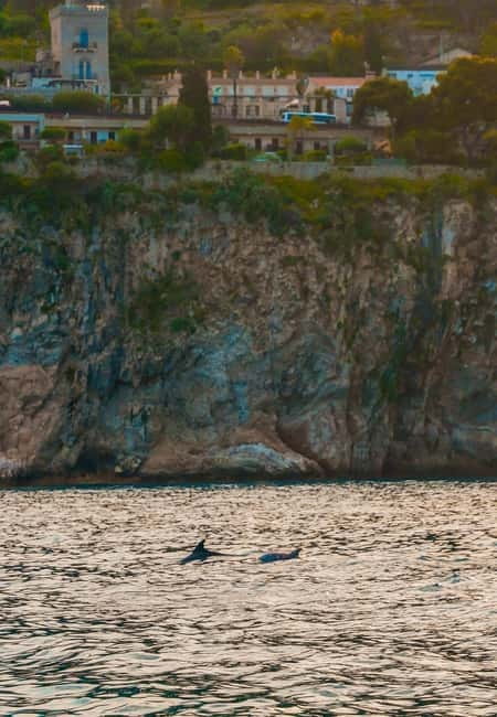 Giardini Naxos Taormina: Dolphin Watching Sunset Tour - Sunset views of Etna, and why timing matters
