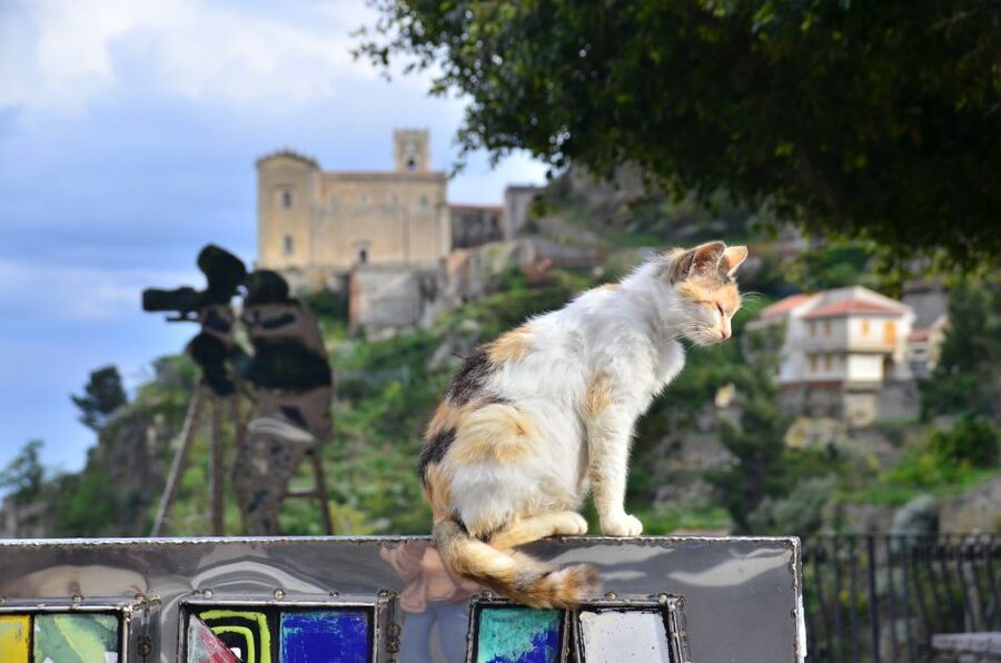 GODFATHER TOUR film's locations departure from Taormina area - Forza d’Agrò: medieval views, guided time, and real breathing room