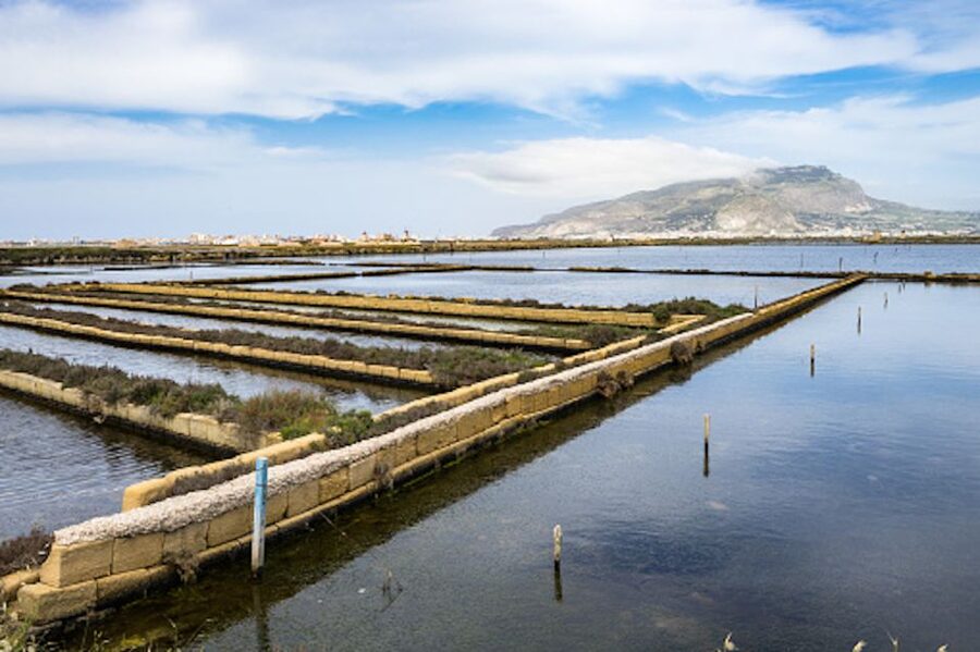 Guided tour of the Marsala Salt Pans and salt harvesting - The salt-pans walk: tanks, canals, windmills, and salt piles