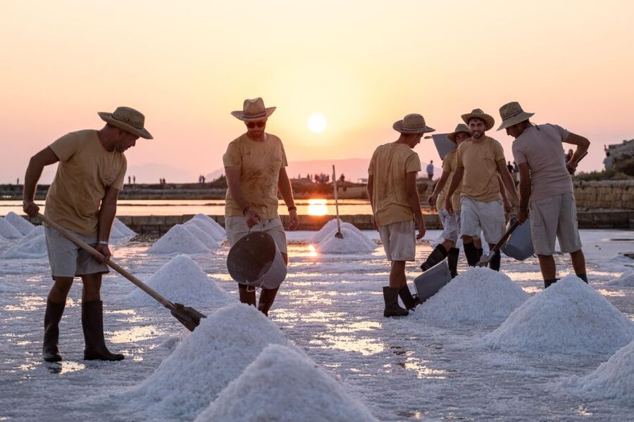 Guided tour of the Trapani Salt Pans and Salt Museum - Key things to know before you go