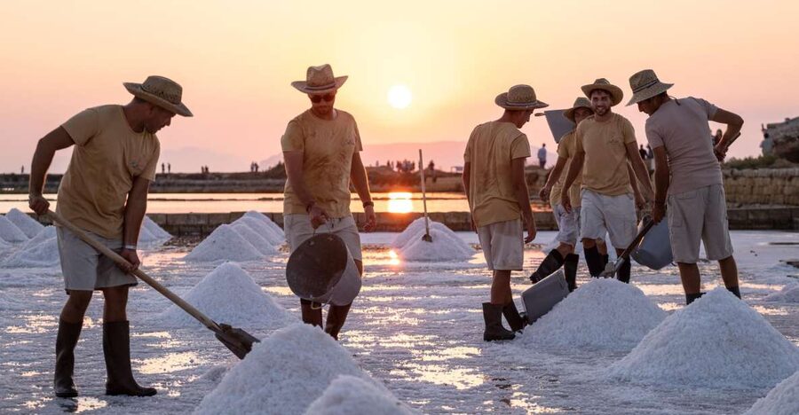 Guided tour of the Trapani Salt Pans and Salt Museum - Should you book the Trapani Salt Pans and Salt Museum tour?