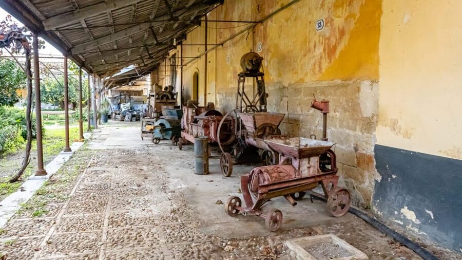 Historical Baglio Florio Adamo tour with wine tasting - Food, Pairings, and the Real Pace of a 1.5-Hour Tour