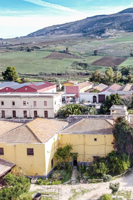 Historical Baglio Florio Adamo tour with wine tasting - Price, Value, and Why This Costs What It Costs