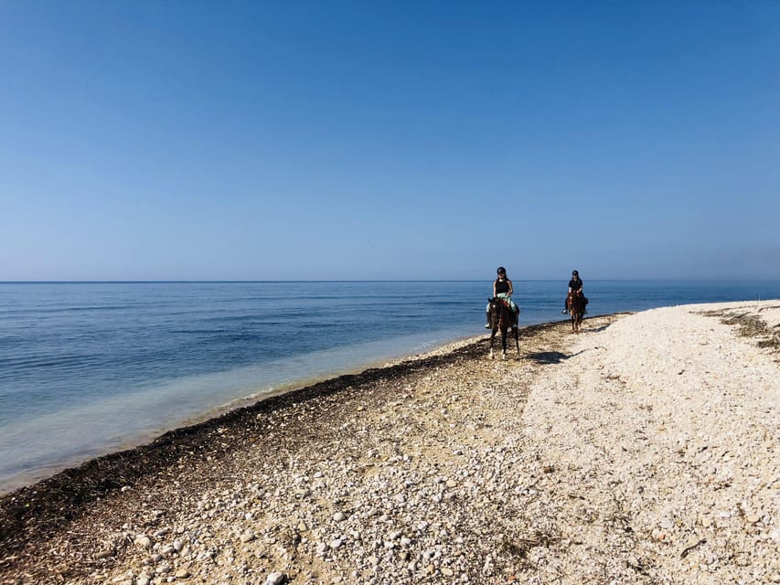 Horseback riding in the beaches of Sciacca - The sea bath with horses: the unforgettable cooling-off moment