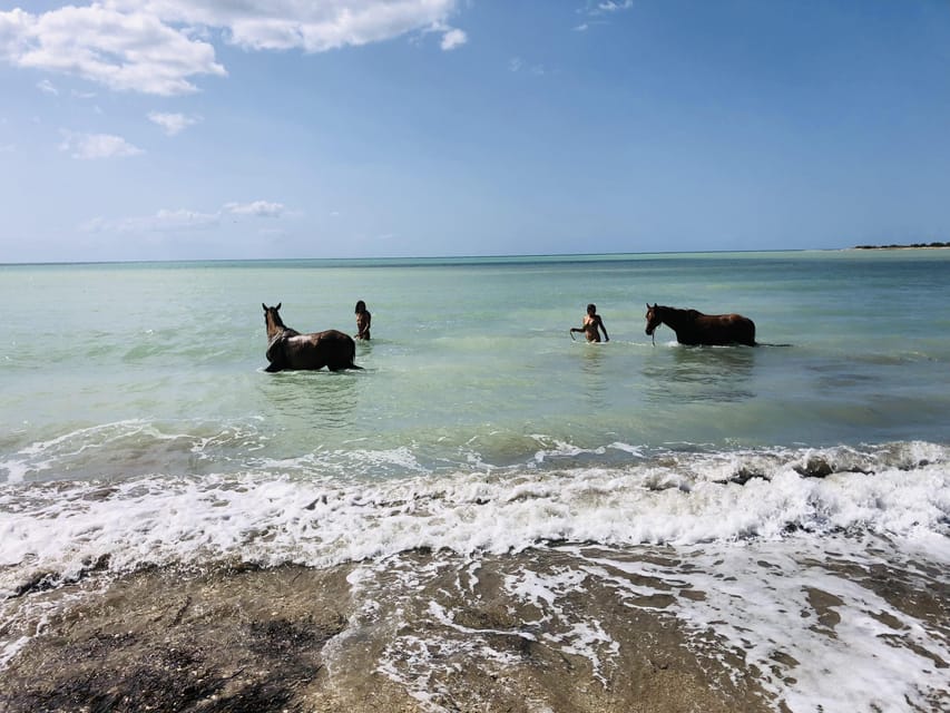 Horseback riding in the beaches of Sciacca - Duration and pacing: what 4 hours feels like on horseback