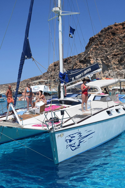 Lampedusa: Dolphin watching with aperitif at sunset - Dolphin and Turtle Watching While the Sky Turns Gold