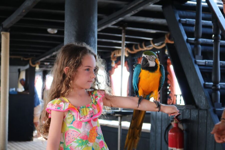Lampedusa: Pirate Ship Boat Tour with Lunch and Music - How the 6.5 hours are paced between coast stops