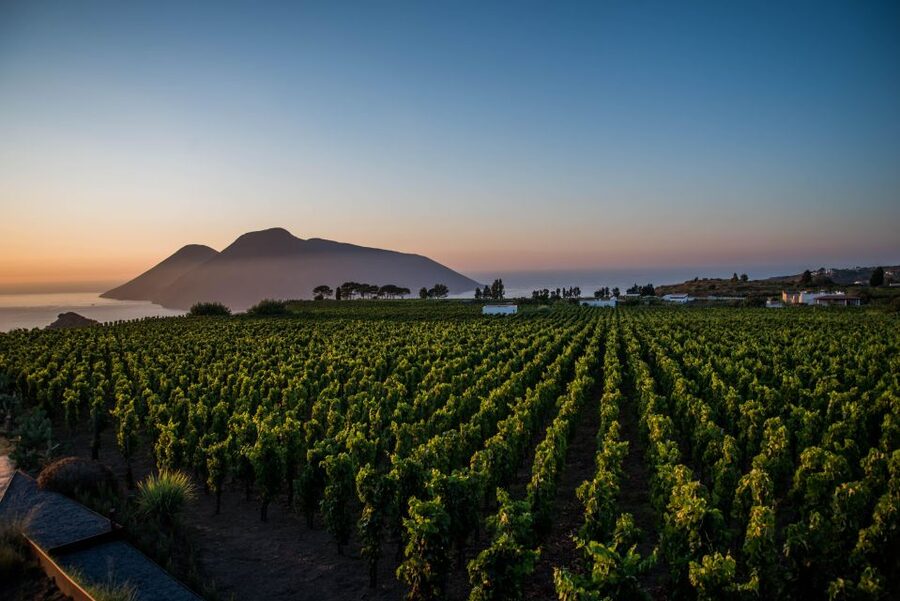 LIPARI WINERY - SUNSET WINE TASTING - Price and value: what $65 buys you on Lipari