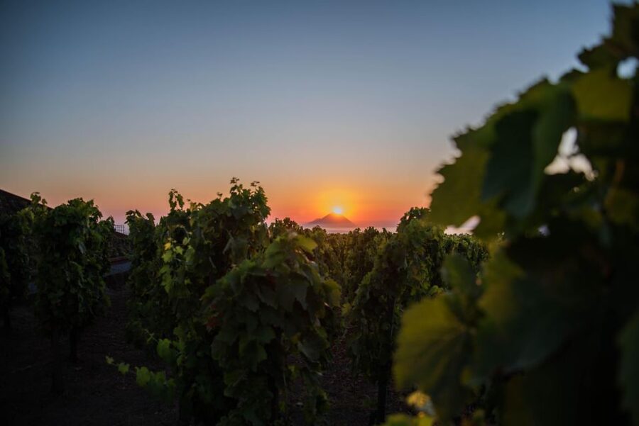 LIPARI WINERY - SUNSET WINE TASTING - Logistics on Lipari: plan for the ride and the timing