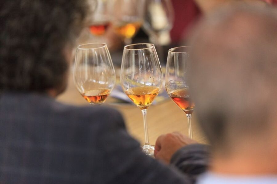 Marsala: Florio Winery Tour with Local Wine Tasting - Timing, Pace, and Practical Planning for Your Day