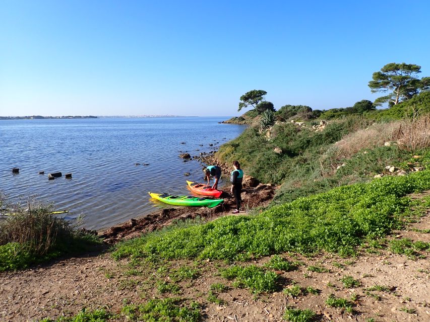 Marsala: Kayak Tour in Stagnone di Marsala Nature Reserve - Isola Schola: the smallest island and the seagulls’ takeover